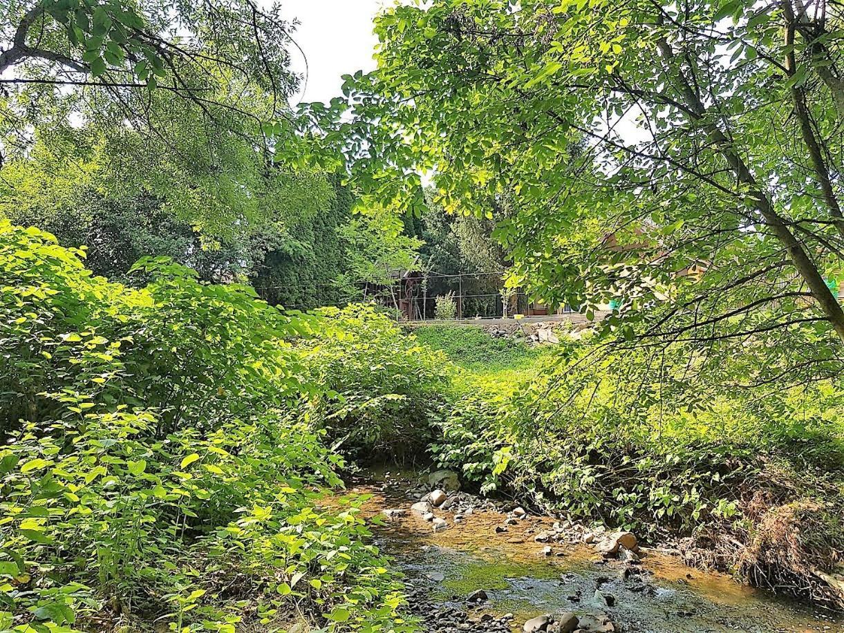 Muskátli Vendégház Albergue Parád Exterior foto