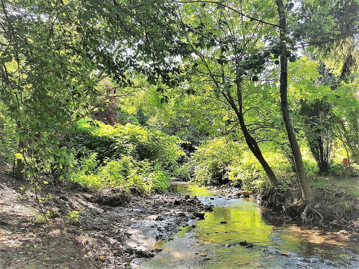 Muskátli Vendégház Albergue Parád Exterior foto